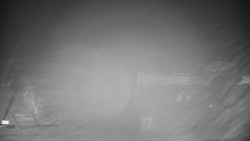 Veselíčko - zahrada u zámku