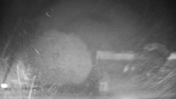 Veselíčko - zahrada u zámku