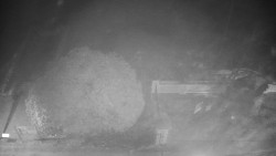 Veselíčko - zahrada u zámku