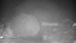 Veselíčko - zahrada u zámku