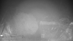 Veselíčko - zahrada u zámku