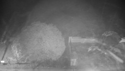 Veselíčko - zahrada u zámku