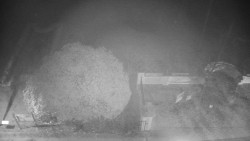 Veselíčko - zahrada u zámku