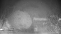 Veselíčko - zahrada u zámku