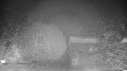 Veselíčko - zahrada u zámku