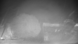 Veselíčko - zahrada u zámku