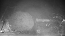 Veselíčko - zahrada u zámku