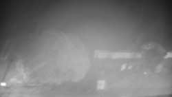 Veselíčko - zahrada u zámku