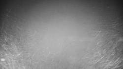 Veselíčko - zahrada u zámku