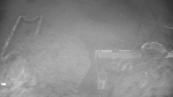 Veselíčko - zahrada u zámku