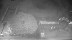 Veselíčko - zahrada u zámku