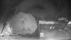 Veselíčko - zahrada u zámku