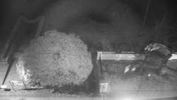 Veselíčko - zahrada u zámku