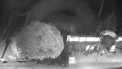 Veselíčko - zahrada u zámku