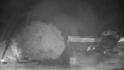 Veselíčko - zahrada u zámku