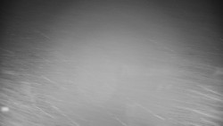 Veselíčko - zahrada u zámku