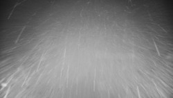 Veselíčko - zahrada u zámku