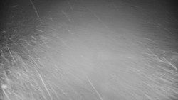 Veselíčko - zahrada u zámku