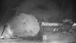 Veselíčko - zahrada u zámku