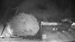 Veselíčko - zahrada u zámku