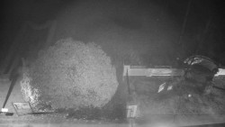 Veselíčko - zahrada u zámku