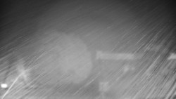 Veselíčko - zahrada u zámku