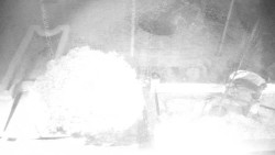 Veselíčko - zahrada u zámku