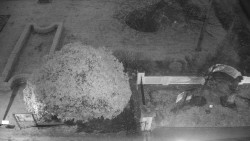 Veselíčko - zahrada u zámku