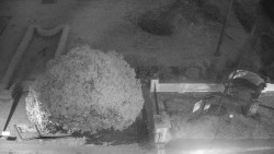 Veselíčko - zahrada u zámku