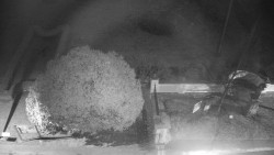 Veselíčko - zahrada u zámku