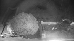 Veselíčko - zahrada u zámku