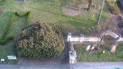 Veselíčko - zahrada u zámku