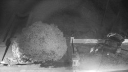 Veselíčko - zahrada u zámku