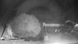 Veselíčko - zahrada u zámku