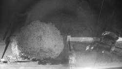 Veselíčko - zahrada u zámku