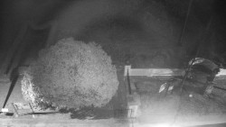 Veselíčko - zahrada u zámku