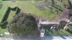 Veselíčko - zahrada u zámku