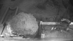 Veselíčko - zahrada u zámku