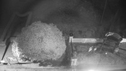 Veselíčko - zahrada u zámku