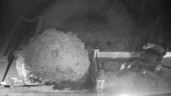 Veselíčko - zahrada u zámku