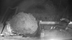 Veselíčko - zahrada u zámku