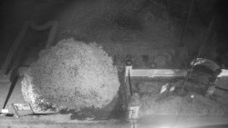 Veselíčko - zahrada u zámku