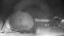 Veselíčko - zahrada u zámku