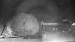 Veselíčko - zahrada u zámku