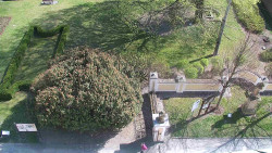 Veselíčko - zahrada u zámku