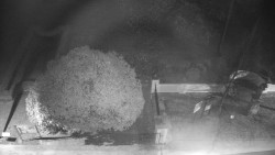 Veselíčko - zahrada u zámku