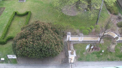 Veselíčko - zahrada u zámku