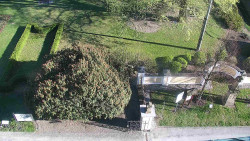 Veselíčko - zahrada u zámku