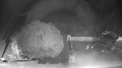 Veselíčko - zahrada u zámku