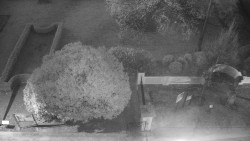 Veselíčko - zahrada u zámku